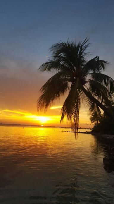 Marysol Private Beach Next To Nomads D5 Isla Mujeres Bagian luar foto